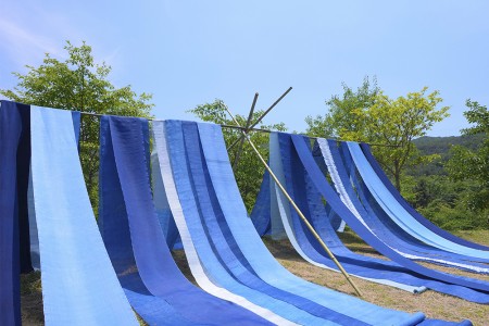 푸른 빛으로 물들인 염색